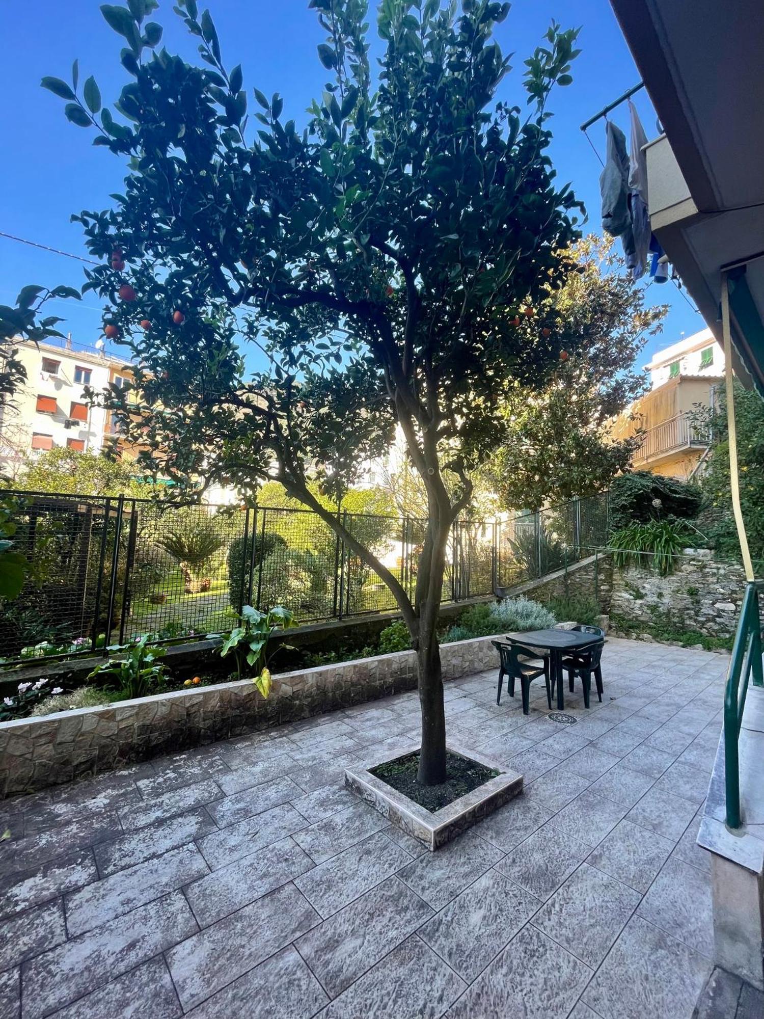 Casa Di Aldo: Una Casa Nel Centro Di Nervi. Генуа Екстериор снимка